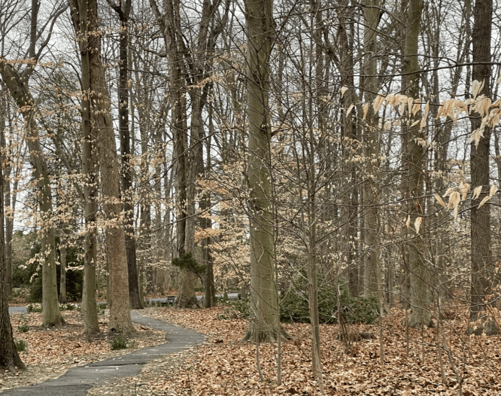 Barton Arboretum and Nature Preserve.