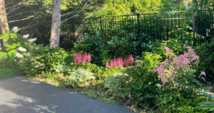 Fall gardening.